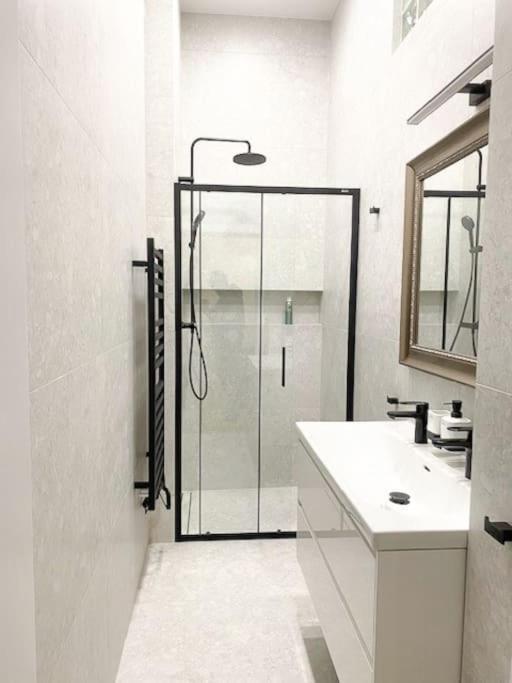 Capitol Deluxe Apartment 프라하 외부 사진